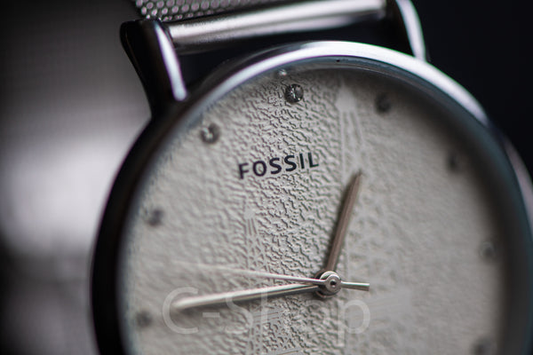 Fossil Paris